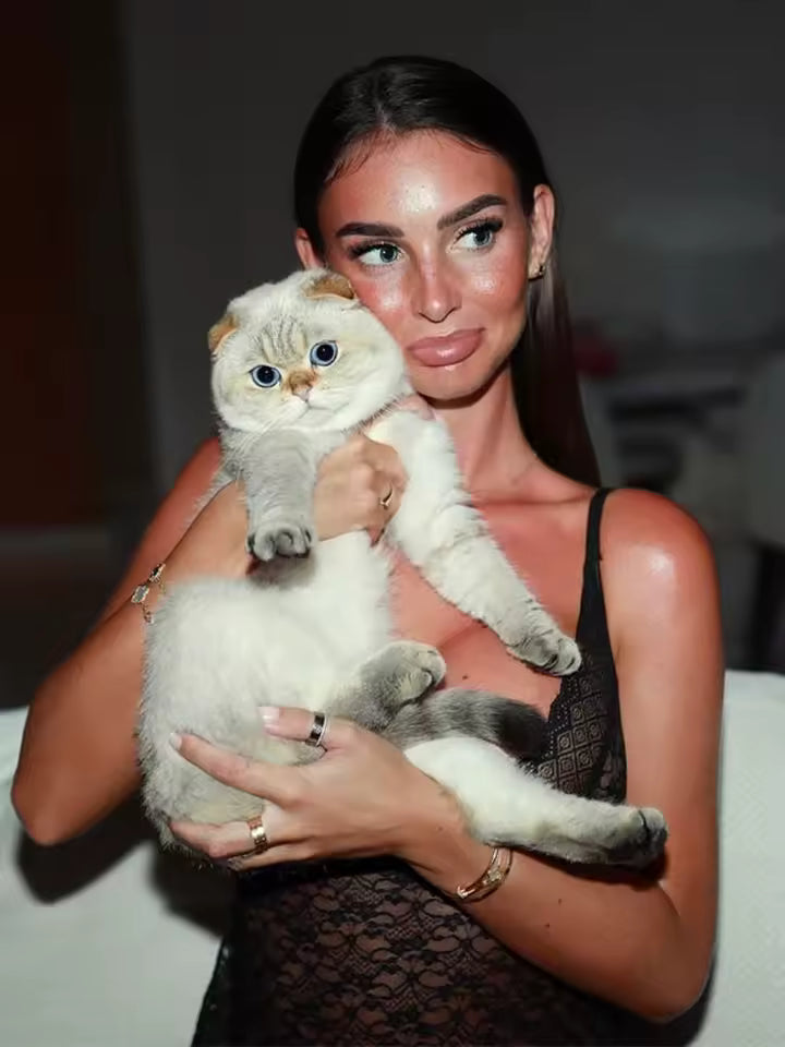 Woman holding a fluffy white cat against a blurred background